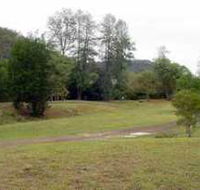Brooyar State Forest - Lennox Head Accommodation