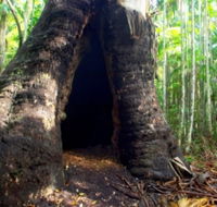 Tewantin National Park - Lennox Head Accommodation