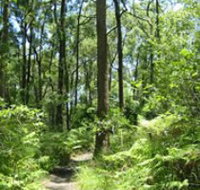 Mapleton Falls National Park - Lennox Head Accommodation