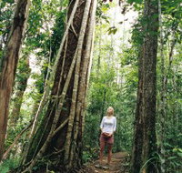 Wet Tropics - Lennox Head Accommodation