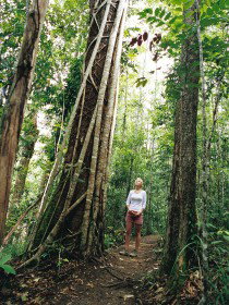 Wet Tropics - Lennox Head Accommodation 0