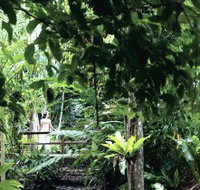 Flecker Botanic Gardens - Lennox Head Accommodation