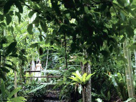 Flecker Botanic Gardens - Lennox Head Accommodation 0