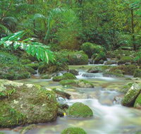 Mossman Gorge Daintree National Park - Lennox Head Accommodation
