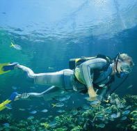 Tijou Reef - Lennox Head Accommodation