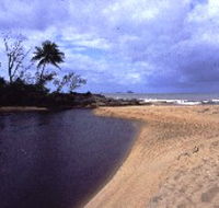 Russell River National Park - Lennox Head Accommodation