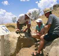 Riversleigh Fossil Fields - Lennox Head Accommodation