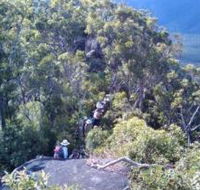 Mia Mia State Forest - Lennox Head Accommodation