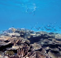 Australian Institute of Marine Science - Lennox Head Accommodation