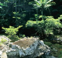 Conway State Forest - Lennox Head Accommodation