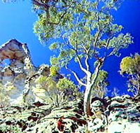 Mount Moffatt Section - Carnarvon National Park - Lennox Head Accommodation