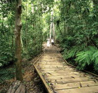 Lake Barrine Circuit Track Crater Lakes National Park - Lennox Head Accommodation