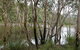 Mount Rooper Circuit And Swamp Bay Track - thumb 0