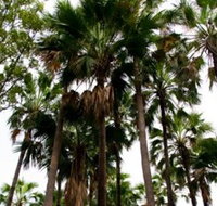 Palm Tree Creek - Lennox Head Accommodation