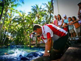 Daydream Island QLD Lennox Head Accommodation
