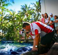 The Living Reef on Daydream Island - Lennox Head Accommodation