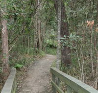 Springwood Conservation Park - Lennox Head Accommodation