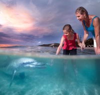 Tangalooma Island Resort - Lennox Head Accommodation