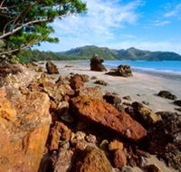 Diversity Boardwalk - Lennox Head Accommodation
