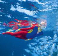 Outer Rocks Dive Site - Lennox Head Accommodation