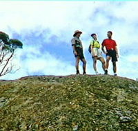 Coongarra Rock - Lennox Head Accommodation
