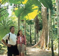 Licuala State Forest - Lennox Head Accommodation