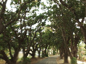 Eimeo QLD Lennox Head Accommodation