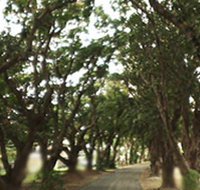 Mango Avenue - Lennox Head Accommodation