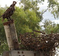 Blackall Sculpture Trail - Lennox Head Accommodation