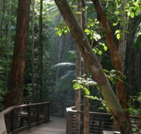 Basin Lake Track - Lennox Head Accommodation