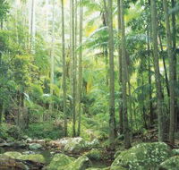 Python Rock - Lennox Head Accommodation