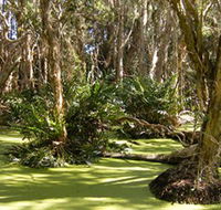 Arkarra Lagoons and Tea Gardens - Lennox Head Accommodation
