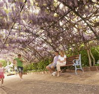Laurel Bank Park - Lennox Head Accommodation