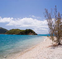 Paddle Bay Track and Campsite - Lennox Head Accommodation