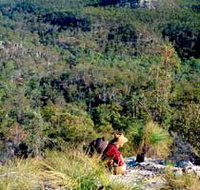 Expedition National Park - Lennox Head Accommodation