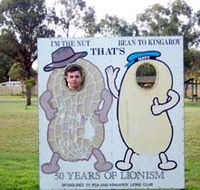 Kingaroy Lions Park - Lennox Head Accommodation