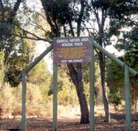 Carroll Nature Reserve Kokoda Track - Lennox Head Accommodation