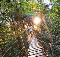 Tree Top Walkway - Lennox Head Accommodation