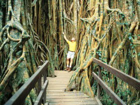 Yungaburra QLD Lennox Head Accommodation