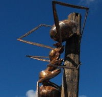 Augathella Meat Ant Park and Sculpture - Lennox Head Accommodation