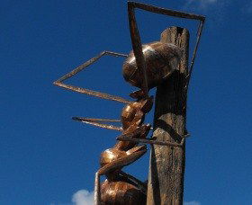 Augathella Meat Ant Park And Sculpture - Lennox Head Accommodation 0