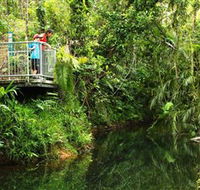 Djiru National Park - Lennox Head Accommodation