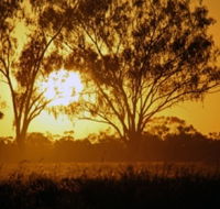 Lake Houdraman - Lennox Head Accommodation