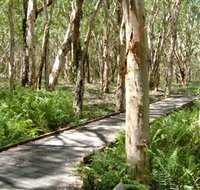 The Kommo Toera Trail - Lennox Head Accommodation