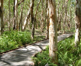 The Kommo Toera Trail - Lennox Head Accommodation 0