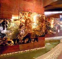 Riversleigh Fossil Centre - Lennox Head Accommodation