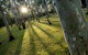 Tondoon Botanic Gardens - thumb 0