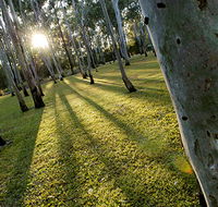 Tondoon Botanic Gardens - Lennox Head Accommodation
