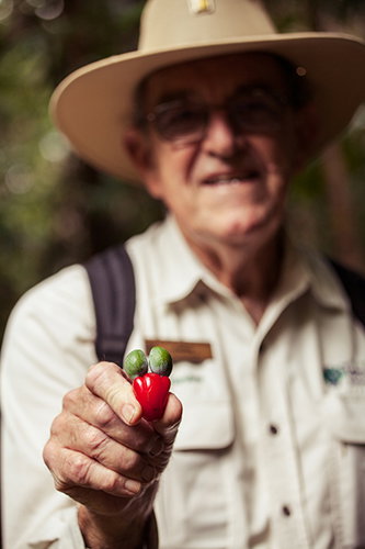 Tondoon Botanic Gardens - Lennox Head Accommodation 1