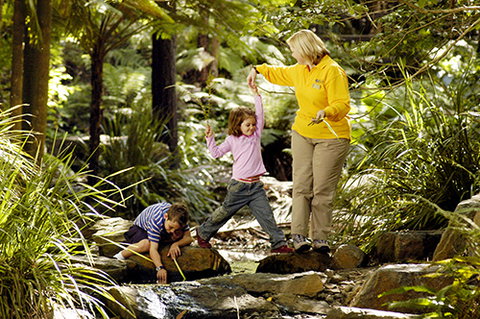 Tondoon Botanic Gardens - Lennox Head Accommodation 2